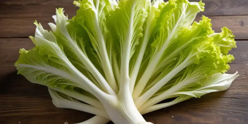 Frisée